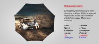/album/volkswagen-motorsport-esernyo/motorsport-esernyo-jpg1/
